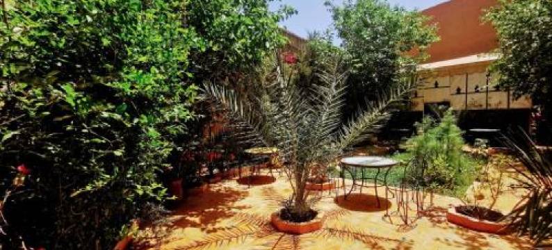 撒哈拉里亚德小狐狸酒店(Riad Fennec Sahara)图片