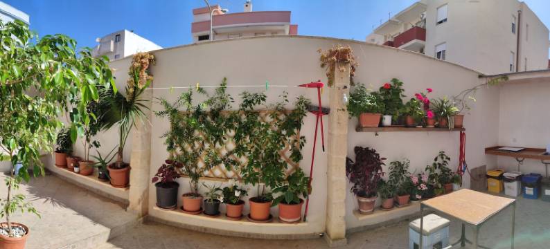 狄拉诺纳民宿(Casa Della Nonna Polignano a Mare)图片