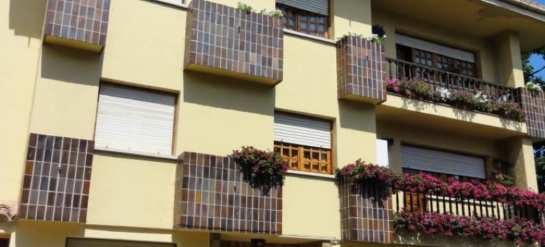 圣何黑旅馆(Pensión San Jorge)图片