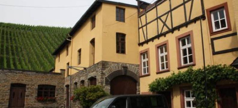 Hotel Gambrinus图片