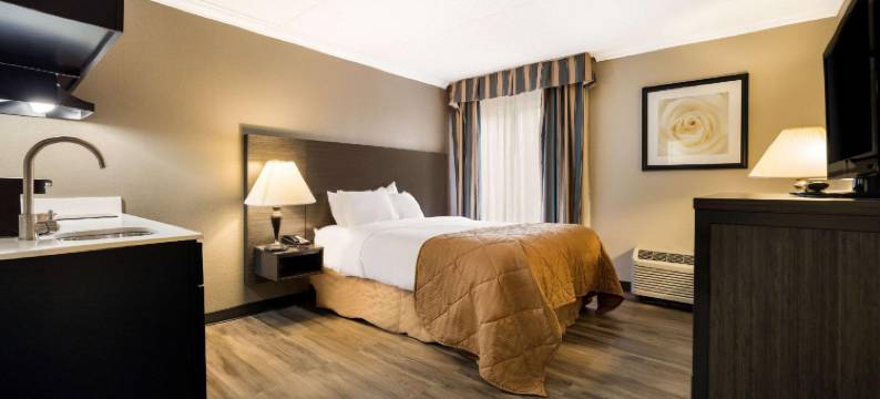 郊区工作室锡拉丘兹展览场(Suburban Studios Syracuse Fairgrounds)图片