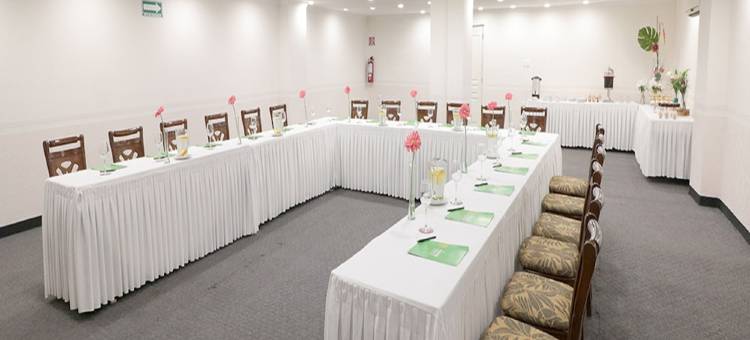 梅尼达米西翁酒店(Mision Merida Panamericana)图片