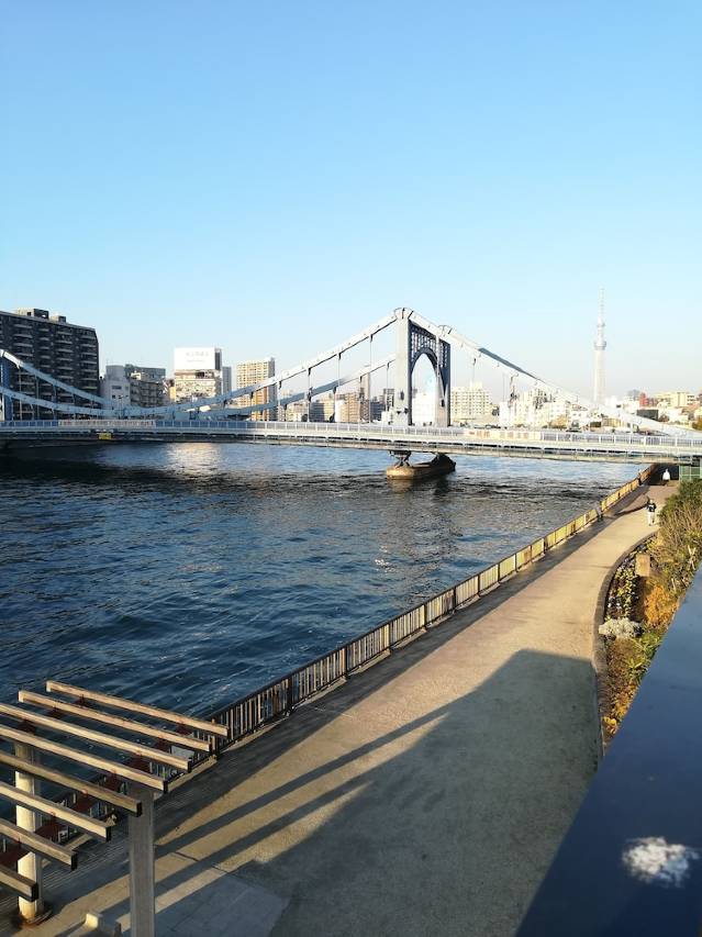 东京清澄流若共享酒店(The Share Hotels Lyuro Tokyo Kiyosumi)图片