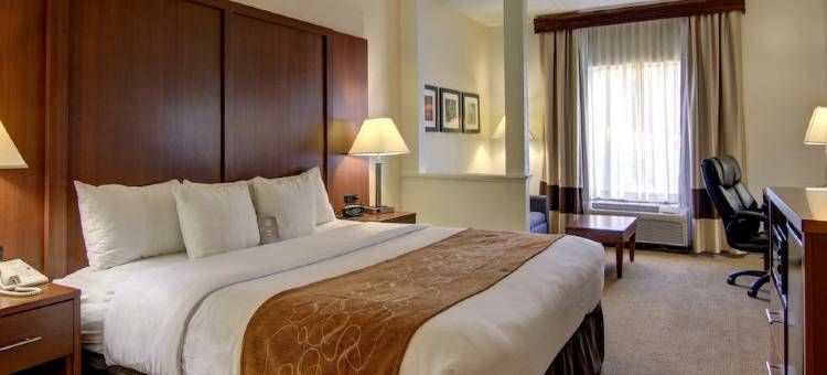 卡明舒适套房酒店 - 亚特兰大近福赛思北区医院(Comfort Suites Cumming-Atlanta Near Northside Hospital Forsyth)图片
