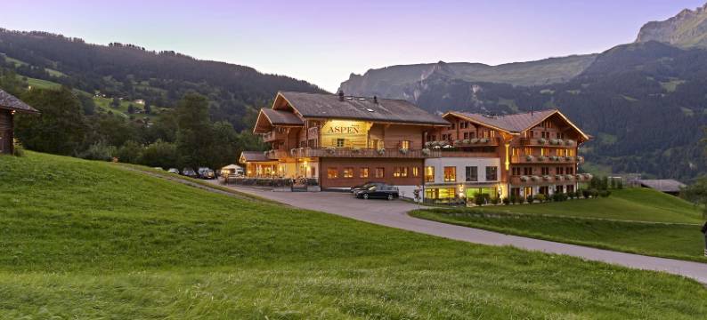 阿斯彭阿尔卑斯休闲酒店(Aspen Alpin Lifestyle Hotel)图片