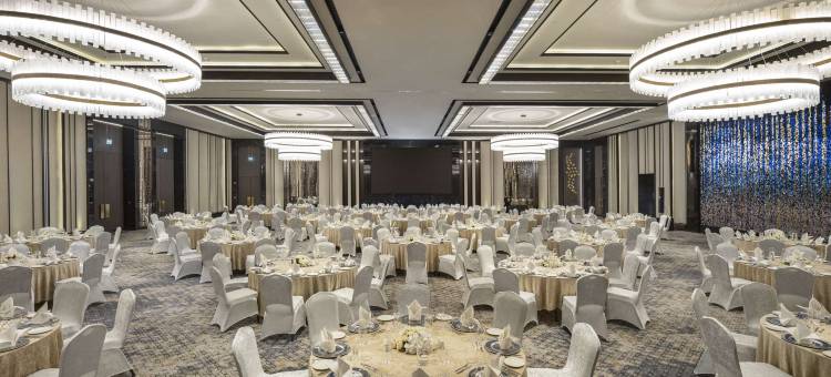 希尔顿逸林酒店(尚勒乌尔法)(DoubleTree by Hilton Sanliurfa)图片