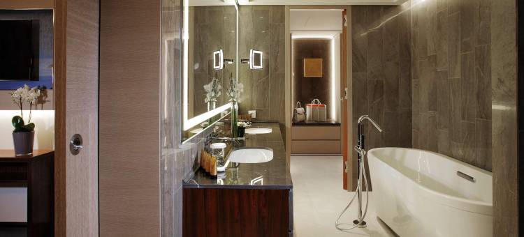 布鲁塞尔唐拉雅秀酒店(Tangla Hotel Brussels)图片