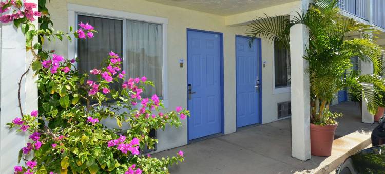 布雷登顿萨拉索塔美洲最佳价值酒店(Americas Best Value Inn Bradenton Sarasota)图片