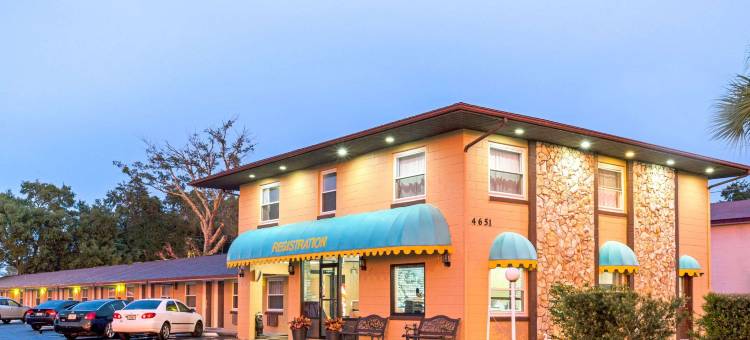 奥兰多基西米骑士酒店(Knights Inn Kissimmee)图片