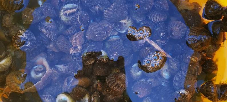 清婉居客栈(共建街分店)图片