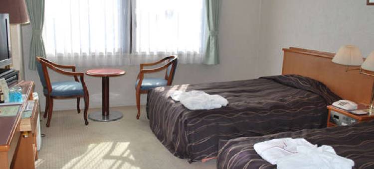 东京新白河Daiichi酒店(Tokyo Daiichi Hotel Shinshirakawa)图片