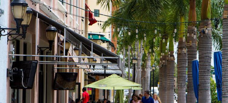 南迈阿密-科勒尔盖布尔斯罗德威旅馆(Rodeway Inn South Miami - Coral Gables)图片
