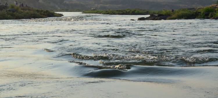 卡尔贾特丽笙世嘉度假村酒店及会议中心(Radisson Blu Plaza Resort and Spa Karjat)图片