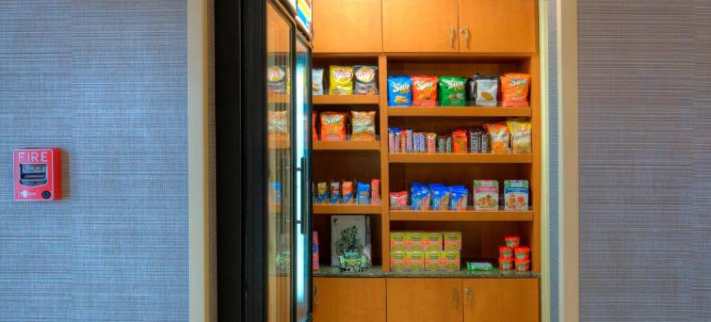 坦帕布兰登万豪SpringHill酒店(SpringHill Suites Tampa Brandon)图片