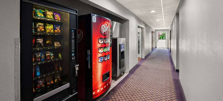 伊科诺罗奇旅馆 & 套房，达拉斯东梅斯基特(Econo Lodge Inn & Suites Mesquite - Dallas East)图片