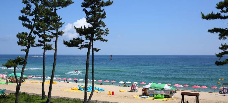 江陵镜浦台酒店-Rang(Gangneung Gyeongpodae Hotel Rang)图片