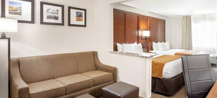 舒适套房雅吉瓦酒店(Comfort Suites Yakima)图片