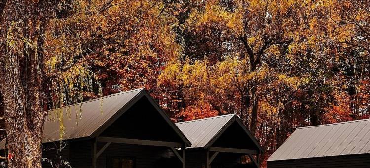 因尼斯(Inness)图片