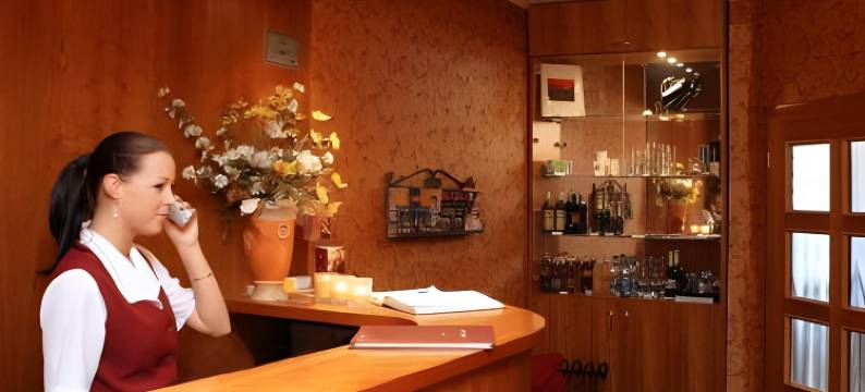 罗德娜酒店(Hotel Roudna)图片