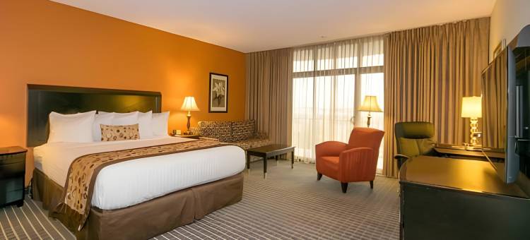 奥克兰机场行政酒店(Oakland Airport Executive Hotel)图片