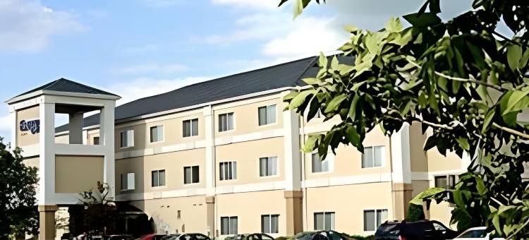 托莱多莫米万枫酒店及套房(Fairfield Inn & Suites Toledo Maumee)图片