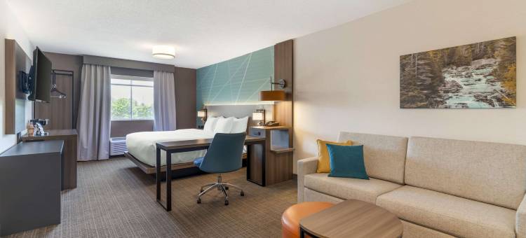 舒适酒店及套房-萨拉托加斯普林斯(Comfort Inn & Suites Saratoga Springs)图片