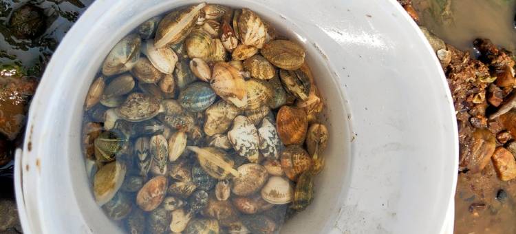 吹泡泡的苏打水公寓(海晏北路分店)图片