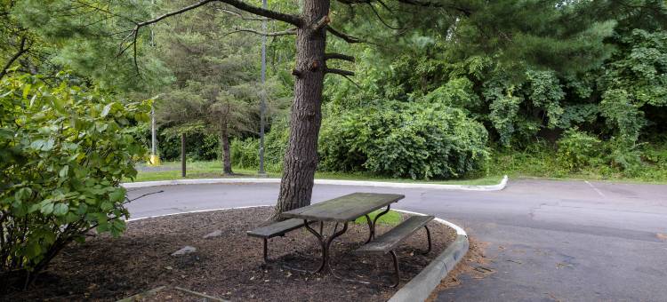 丹维尔, 宾州HomeTowne公寓酒店(HomeTowne Studios Danville, PA)图片