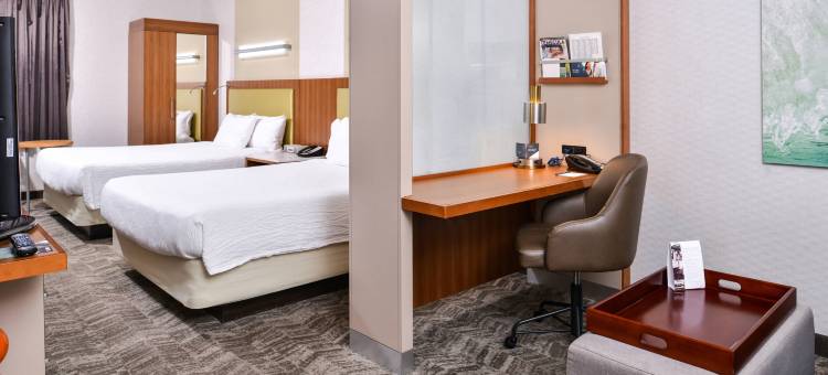 蒂梅丘拉山谷葡萄酒乡万豪SpringHill酒店(SpringHill Suites Temecula Valley Wine Country)图片