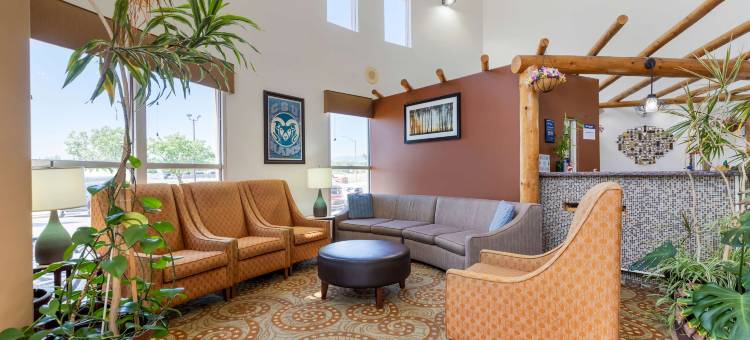 基瓦贝斯特韦斯特酒店(Best Western Kiva Inn)图片