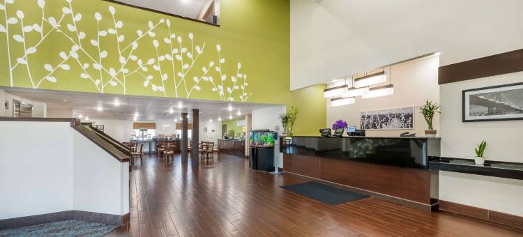 舒眠酒店-亨德森埃文斯维尔南(Sleep Inn Henderson-Evansville South)图片