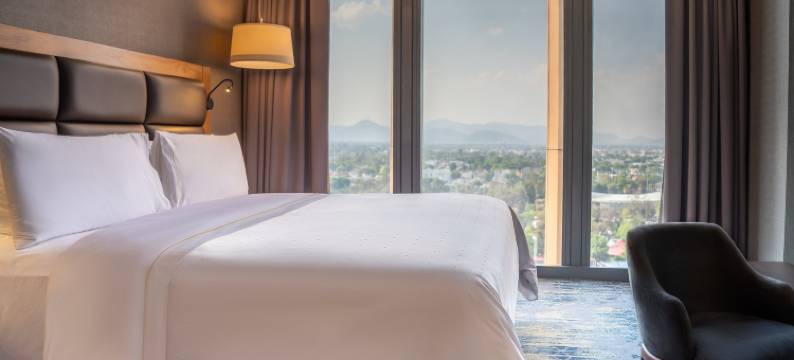 美洲嘉年华威雅杜克机场酒店(Fiesta Americana Viaducto Aeropuerto)图片