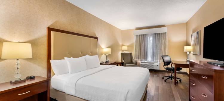 阿比贝斯特韦斯特优质酒店(Best Western Plus Abbey Inn)图片