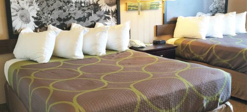 埃德森温德姆速8酒店(Super 8 by Wyndham Edson)图片