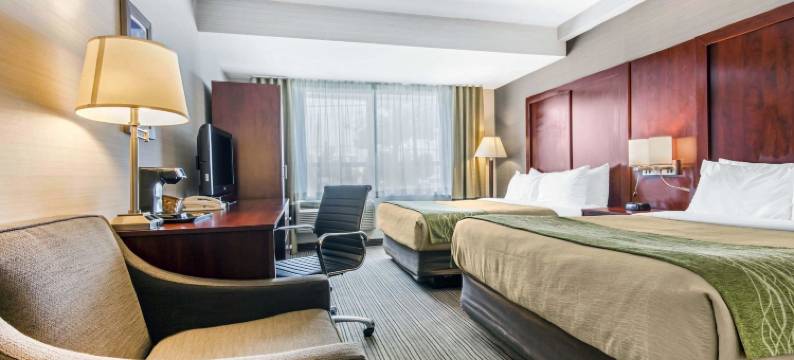 舒适套房酒店(Comfort Inn & Suites)图片