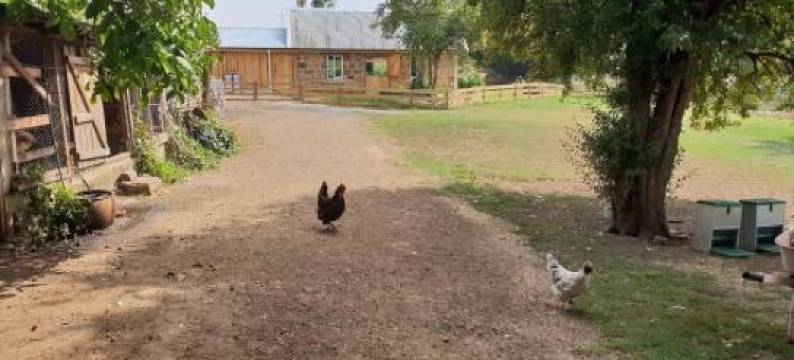 公寓(Rosendale Stables)图片