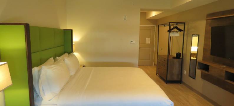 克利奇站温德姆花园酒店(Wyndham Garden College Station)图片