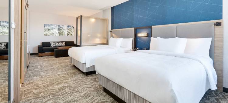 达拉斯曼斯费尔德万豪SpringHill Suites酒店(SpringHill Suites Dallas Mansfield)图片