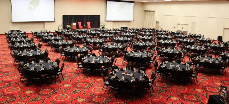 洲际酒店集团假日酒店德梅因机场/会议中心(Holiday Inn DES MOINES-AIRPORT/CONF CENTER by IHG)图片