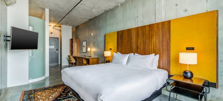 NYLO拉斯科琳娜酒店，希尔顿启缤精选(NYLO Las Colinas Hotel, Tapestry Collection by Hilton)图片