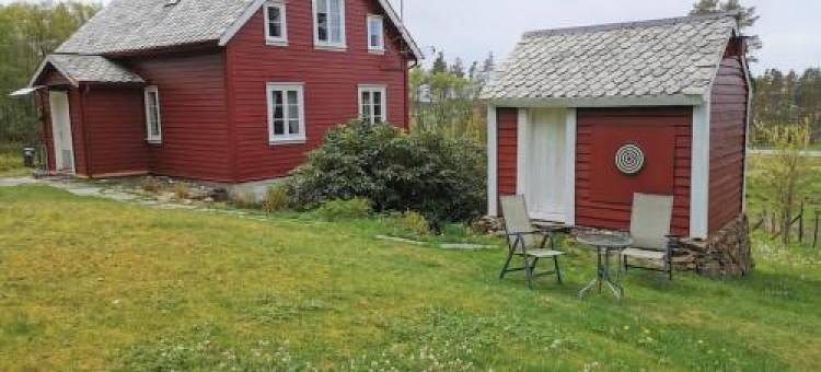 Alone in the Woods with Your Own River Nearby图片