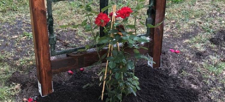 A view worth seeing to switch off图片