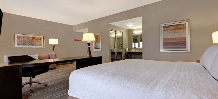 坦帕西北/奥尔兹马欢朋套房酒店(Hampton Inn & Suites Tampa Northwest/Oldsmar)图片