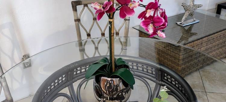 Amazing 1B/1B Waterview, main level Apt. AS3图片