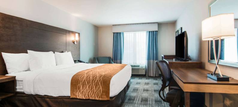 舒适套房旅馆(Comfort Inn & Suites East Ellijay)图片