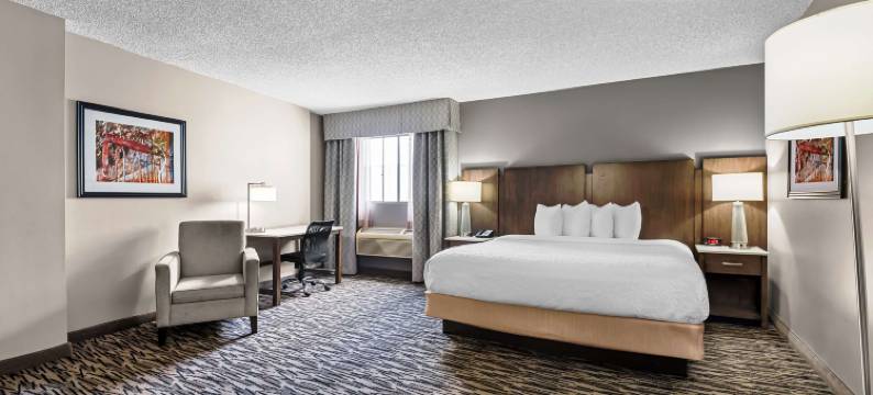 洛斯阿拉米托斯贝斯特韦斯特酒店(Best Western Los Alamitos Inn & Suites)图片