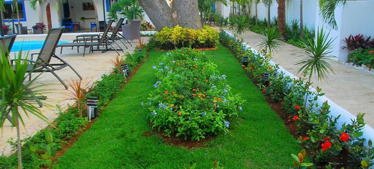 卡塔琳娜海滩酒店(Nuovo Hotel Playa Catalina)图片