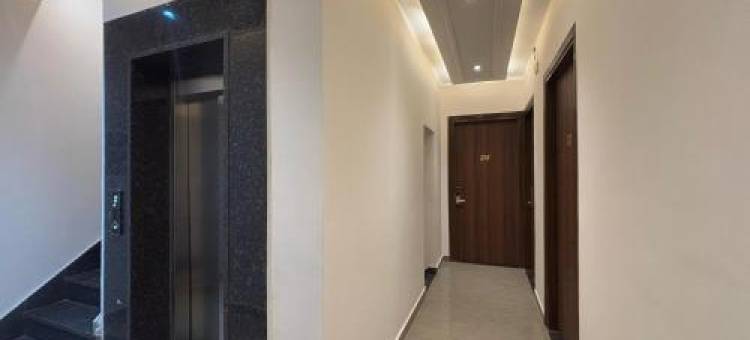 THE MOON LIGHT图片