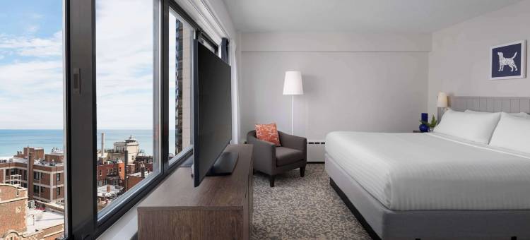 索内斯塔ES套房芝加哥市中心壮丽大道-医疗(Sonesta ES Suites Chicago Downtown Magnificent Mile - Medical)图片