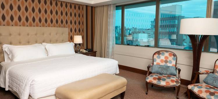 巴西阿雷格里港希尔顿酒店(Hilton Porto Alegre)图片